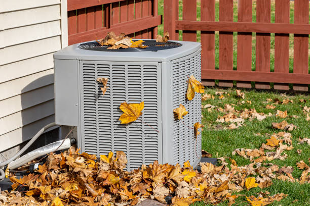 Best HVAC Repair Near Me  in Ravenel, SC